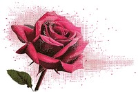 Rose rose art flower.