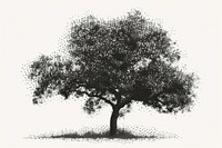 Tree tree drawing sketch.