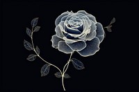 Rose rose pattern drawing.