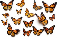 Flying plain tiger butterflies butterfly animal insect. AI generated Image by rawpixel.