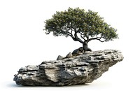 Rock heavy element Tree shape tree bonsai plant.