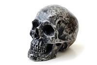 Rock heavy element Skull white background anthropology sculpture.