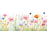 Meadow in summer flower backgrounds outdoors.