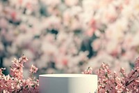 Product podium backdrop outdoors blossom flower.