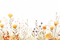Autumn meadow flower backgrounds outdoors.