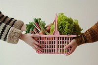 Vegetable plastic basket person food hand. 