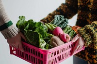 Vegetable plastic basket sweater food hand. AI generated Image by rawpixel.
