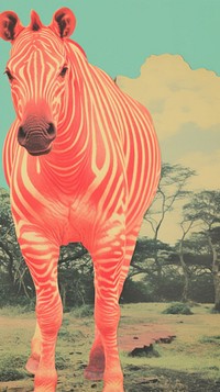 Animal wildlife mammal zebra. AI generated Image by rawpixel.