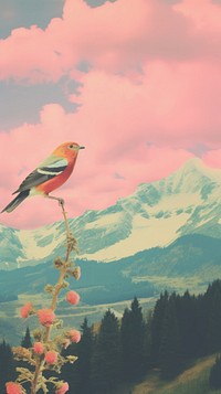 Bird landscape mountain outdoors. AI generated Image by rawpixel.
