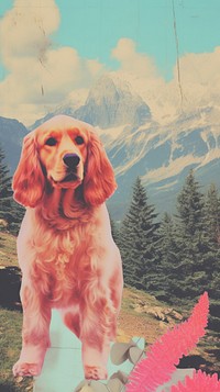 Dog outdoors portrait spaniel. AI generated Image by rawpixel.