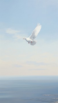 A white dove outside the window with seascape background animal flying bird.