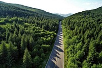 Road and green trees forest mountain outdoors. AI generated Image by rawpixel.