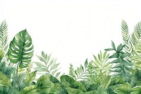 Tropical leaves green fern backgrounds.
