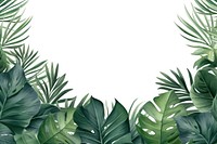 Tropical leaves green backgrounds outdoors.