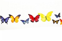 Butterfly border panoramic animal insect.