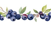Blueberries border blueberry fruit plant.