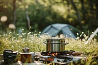 Camping cooking equipment  outdoors nature plant.