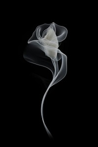 Rose shape smoke white black.