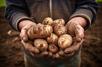 Vegetable holding farmer potato. AI generated Image by rawpixel.
