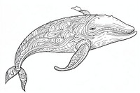 Whale sketch drawing animal. 