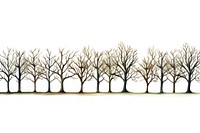 Rows of tree drawing nature plant.