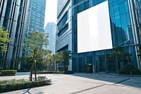 In front of modern office buildings in the city architecture cityscape housing.