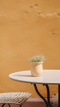 A daisy vase on outdoor table furniture outdoors flower. 