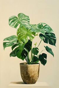 A Monstera in cute pot isolated on clear background plant leaf xanthosoma.