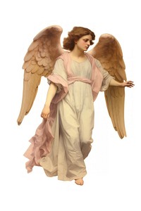 An angel adult white background representation.