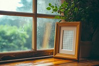Picture frame window windowsill plant.