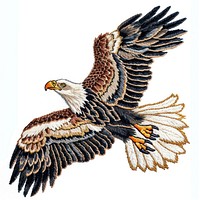 An Eagle vulture animal eagle.