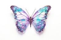 Butterfly iridescent animal insect white background.