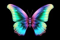Butterfly iridescent animal insect purple.