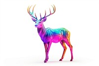 Deer iridescent wildlife animal mammal.