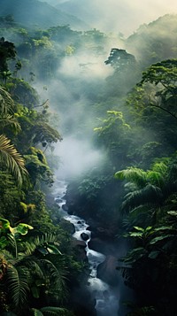  Foggy tropical forest nature vegetation outdoors. AI generated Image by rawpixel.