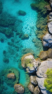  Shallow rocky lake nature underwater outdoors. AI generated Image by rawpixel.