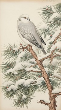 White bird on a snow covered pine branch drawing animal sketch. AI generated Image by rawpixel.