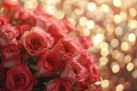 Valentines rose bouquet pattern bokeh effect background backgrounds flower petal.