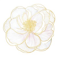 Watercolor flower with gold glitter outline sketch line stroke pattern drawing plant.