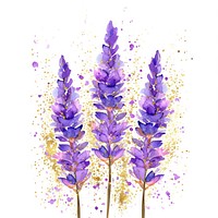 Watercolor purple lavender painting with gold glitter outline sketch blossom flower plant.