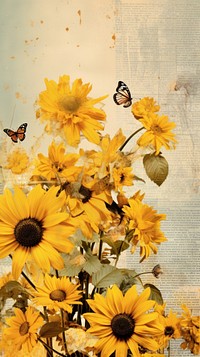 Wallpaper ephemera pale sunflower butterfly outdoors insect.