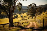 Australia countryside landscape outdoors nature.