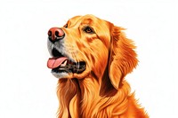 Golden retriever mammal animal pet. AI generated Image by rawpixel.