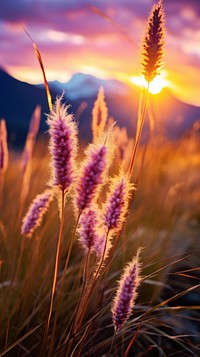  Nature sunset grass landscape. AI generated Image by rawpixel.