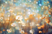 Flowers pattern bokeh effect background backgrounds outdoors blossom.