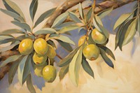 Olive branch painting plant olive. 