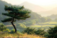 Korea countryside landscape grassland outdoors.