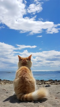  Nature cloud beach sky. 