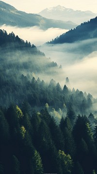  Nature forest fog landscape. AI generated Image by rawpixel.