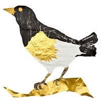 Bird ripped paper blackbird animal white background.